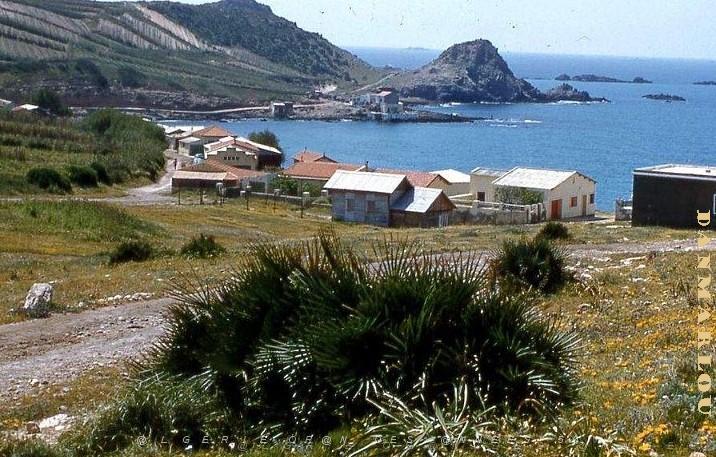 CAP falcon 6-pain de sucre-1956 (2).jpg